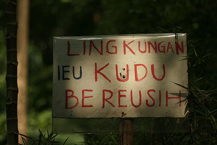 pengumuman